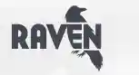  Raven Tools Kampanjer
