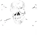  FC ST. Pauli Kampanjer